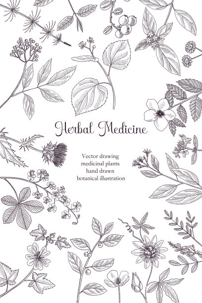 绘制花卉复古模板图片下载