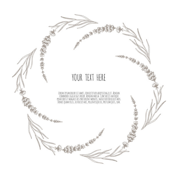 漂亮的手绘薰衣草茶香草图片下载