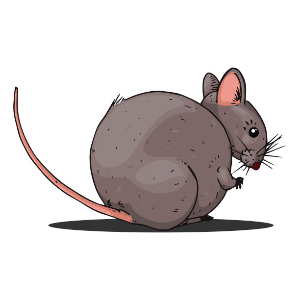 鼠标手绘卡通老鼠有趣的老鼠图片下载