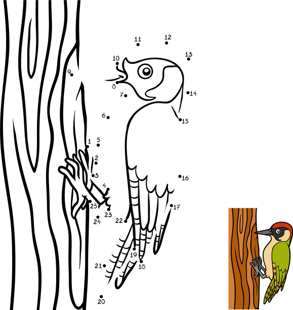 数字游戏绿色啄木鸟图片下载