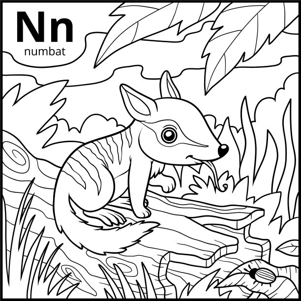 着色书无色的字母表字母n数字图片下载