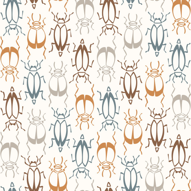 无缝背景甲虫虫性别中性婴儿图片下载