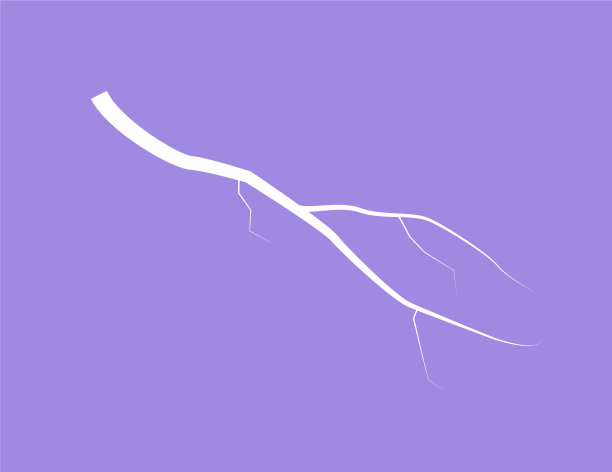 闪电在丁香上的剪影图片下载