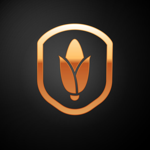 金色盾牌玉米图标孤立在黑色背景图片下载