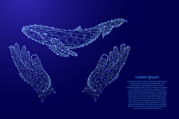 鲸鱼漂浮，两只手握着保护图片下载