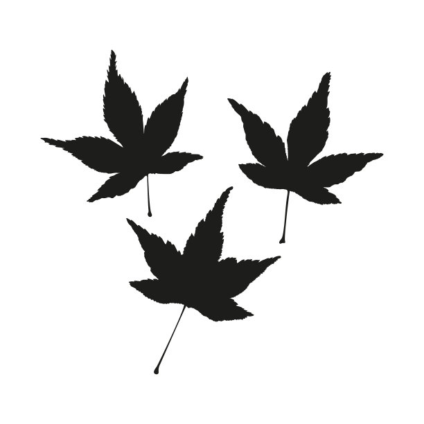叶轮廓图片下载