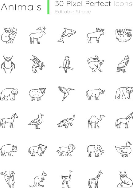 动物像素完美的线性图标集图片下载