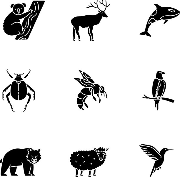动物物种黑色象形文字图标设置在白色图片下载