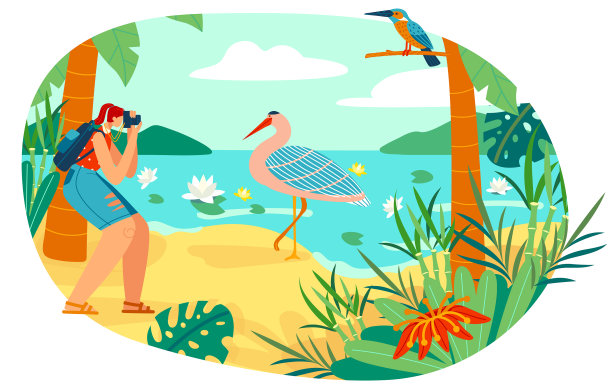 人们拍摄自然鸟类平面图片下载