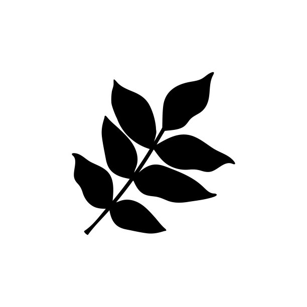 涂鸦树叶图标孤立的白色手绘图片下载