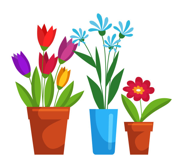 盛开的花在盆中，孤立放置在空白区域图片下载