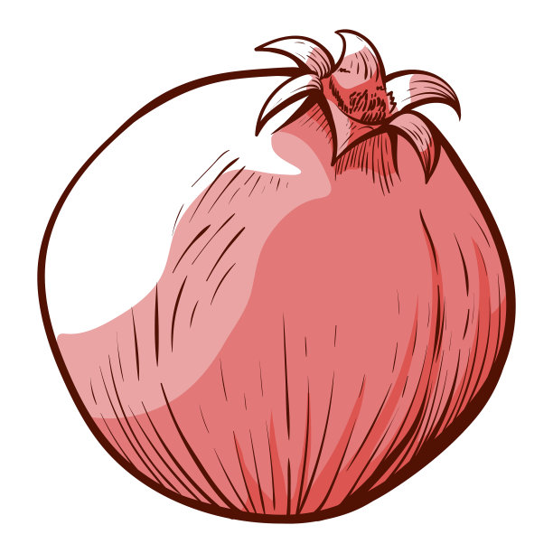 石榴，红色成熟的宝石状种子图片下载