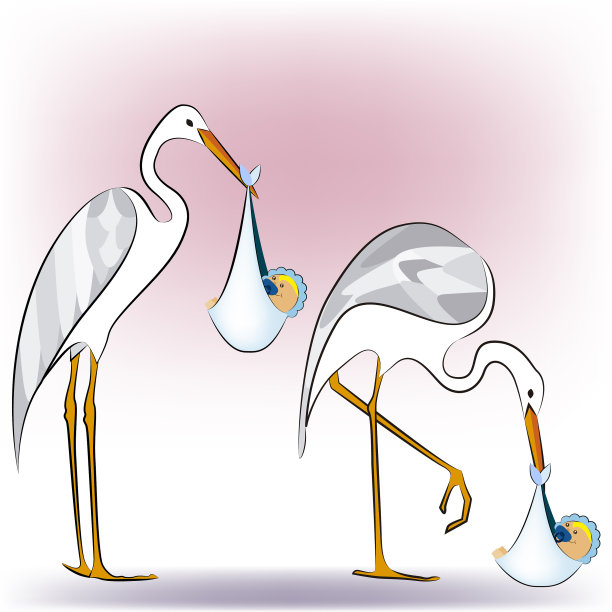 鹳与ba3图片下载