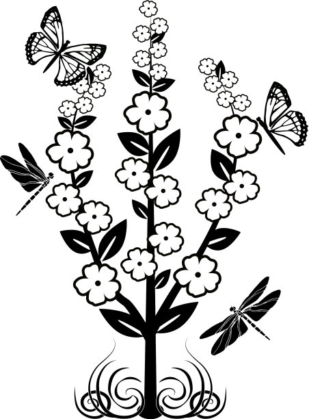 蜻蜓，蝴蝶和花图片下载