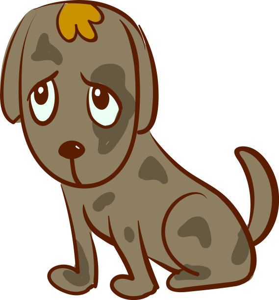 白色背景上的悲伤的狗图片下载