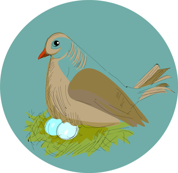 白底上的鸟巢里的鸟图片下载