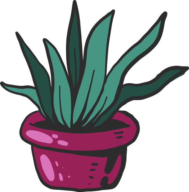 白色背景下的粉红色花盆里的绿色植物图片下载