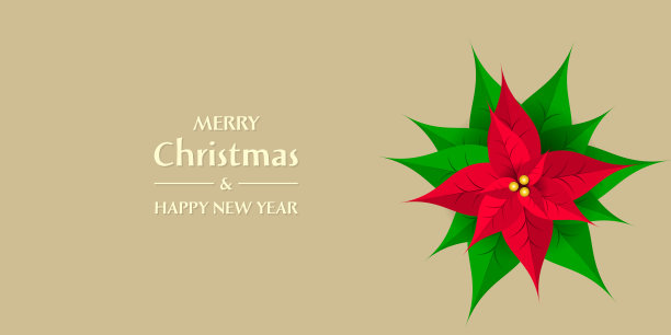 圣诞卡和新年贺卡图片下载