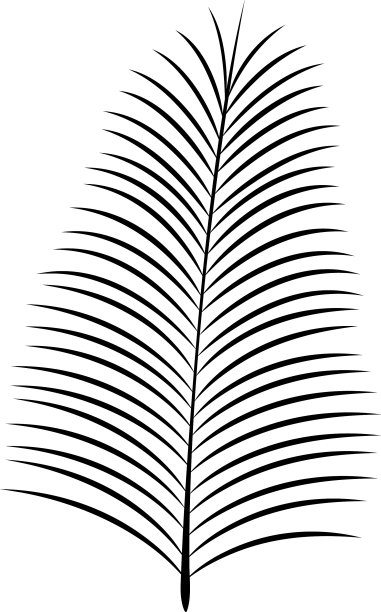 黑色剪影枣棕榈叶图标图片下载
