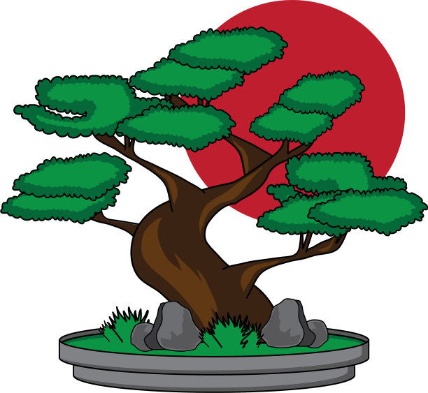 盆景在盆中孤立的白色背景图片下载