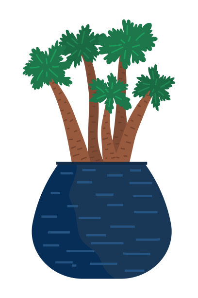 装饰用的绿色植物，长叶，陶瓷图片下载