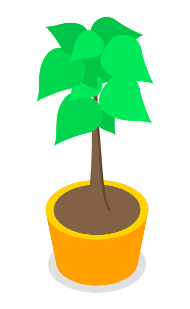 装饰性的修剪树在白色孤立的盆栽图片下载