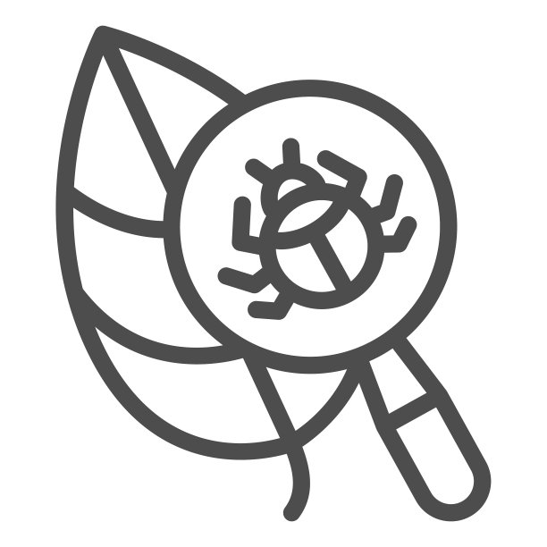 甲虫在放大镜下的叶线图标图片下载