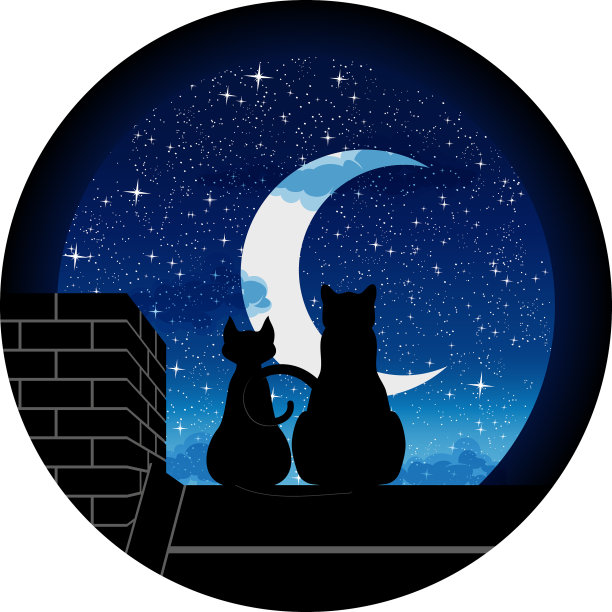 黑色的猫0006图片下载