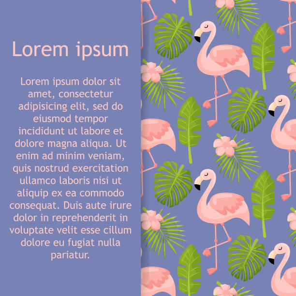 美丽无缝的夏季花卉图案图片下载