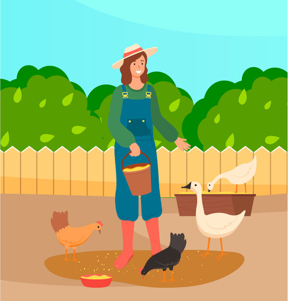 一位妇女正在农场里喂鸡和鹅图片下载