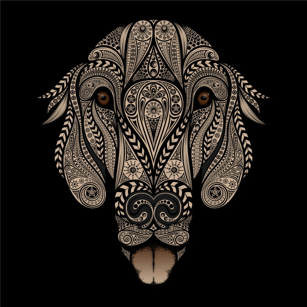 快乐的狗图片下载