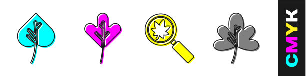 集叶或叶，叶或叶放大图片下载