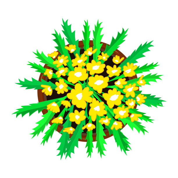 花在盆中孤立在白色背景上图片下载
