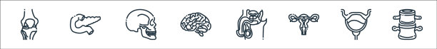 人体器官线图标线性设置质量线图片下载
