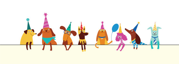 不同品种的狗戴着锥形帽子图片下载