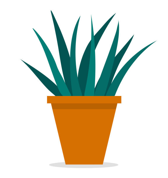 装饰用的绿色植物，长叶，陶瓷图片下载