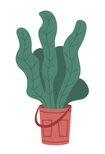 装饰用的绿色植物，长叶，陶瓷图片下载