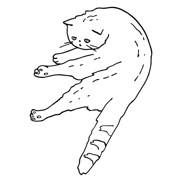 猫的轮廓躺着，手画的轮廓可爱的小猫图片下载