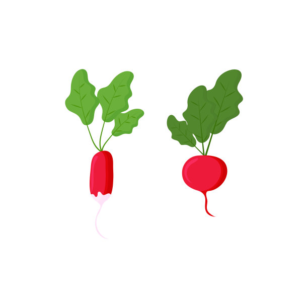 用叶子套出不同形状的红萝卜图片下载