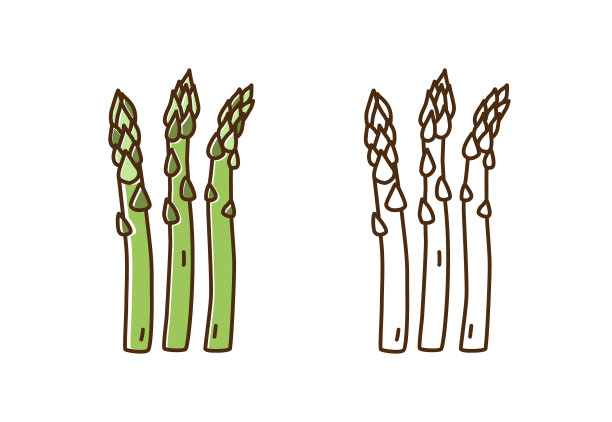 美味新鲜的芦笋单色套装图片下载