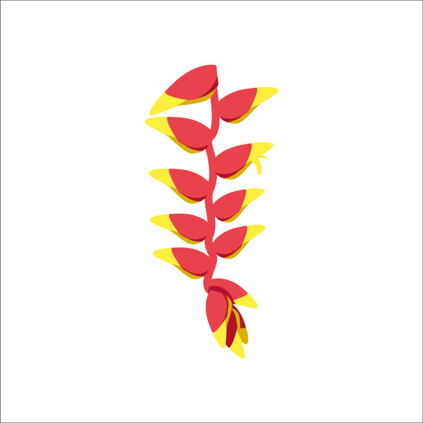 海里康属植物奇葩图片下载