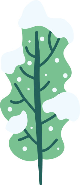 树木植物生态自然与雪图片下载