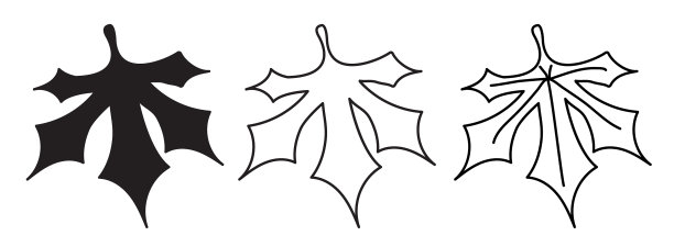 植物树的叶子有不同的版本图片下载