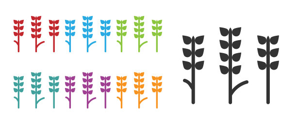 黑色谷物配水稻、小麦、玉米、燕麦图片下载