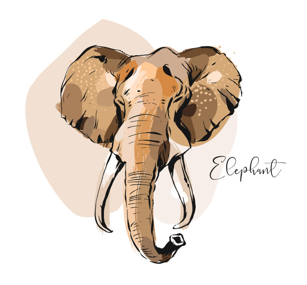 手绘抽象创意图形图片下载