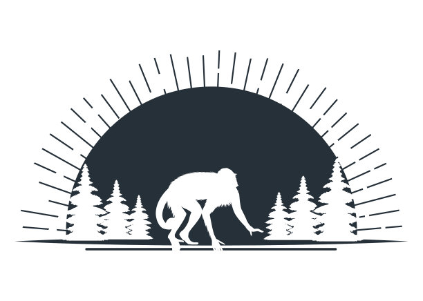 猴子是野生丛林中的动物图片下载