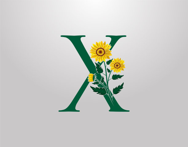 字母x与向日葵花植物图片下载