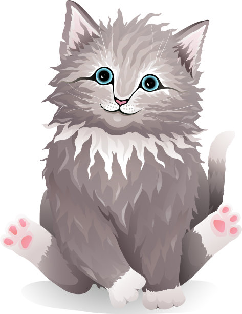 可爱的小猫毛茸茸的卷毛宠物逼真图片下载