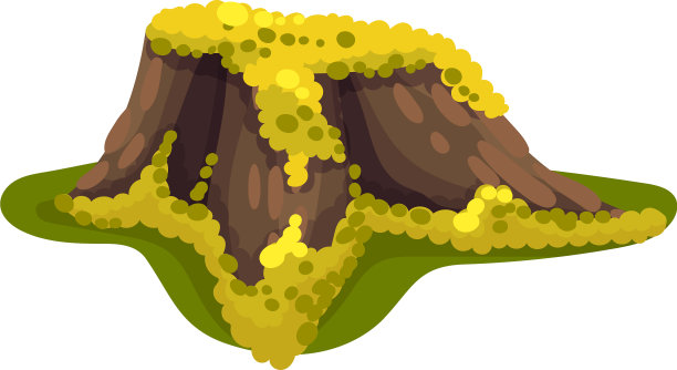 树桩或树桩上覆盖着松软的苔藓图片下载