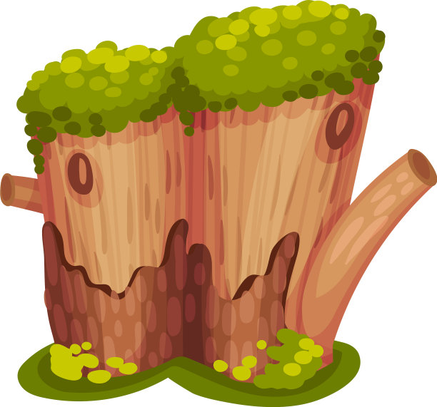 被苔藓覆盖的树桩或树桩如森林图片下载